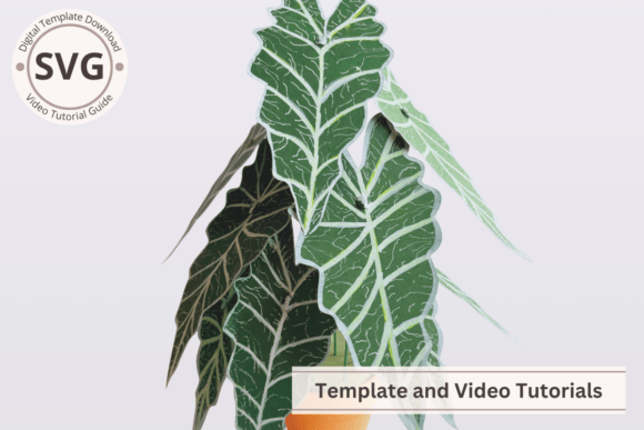 Download Paper Plant Alocasia SVG &amp; PDF Template - Pdf Collection